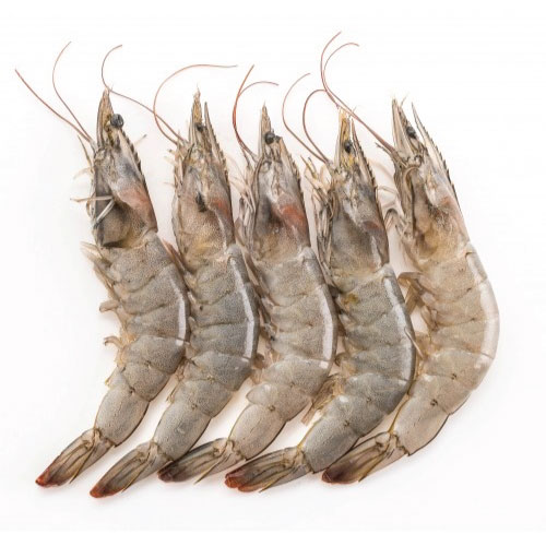 RAW SKULL ISLAND KING PRAWNS (1.5kg) – Alaskan Crab Co