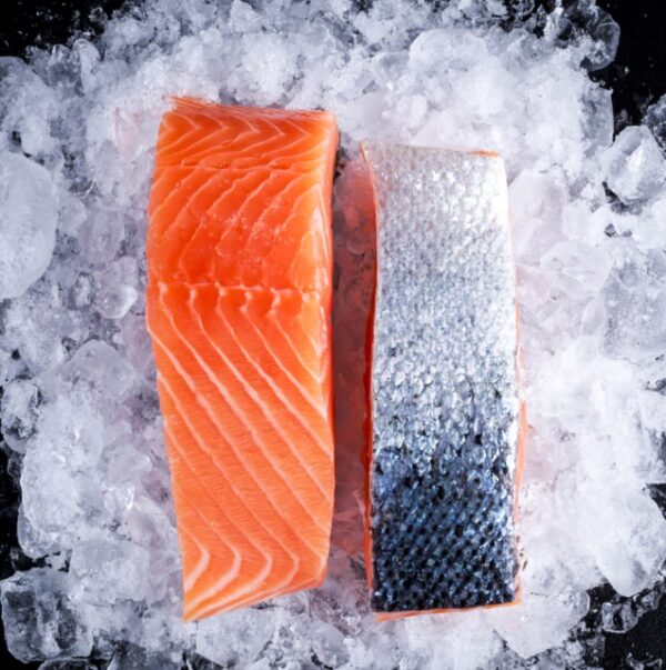 OCEAN TROUT PORTIONS