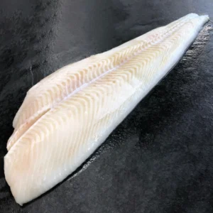 HALIBUT